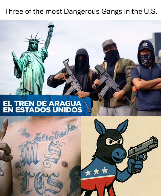 An image of Tren de Aragua, MS13, and the Democratic donkey symbol with a mask and gun.