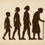 Image showing evolution of a boy to an old woman.